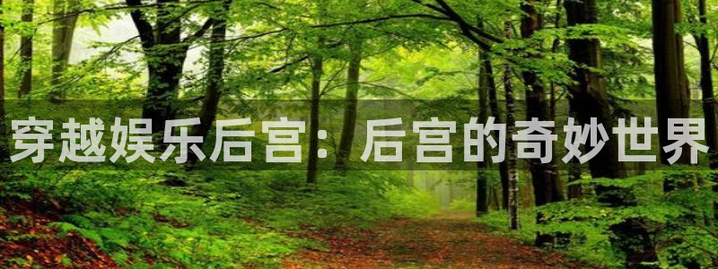 星辉平台登录界面入口：穿越娱乐后宫：后宫的奇妙世界