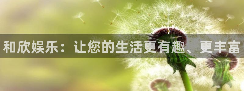 星辉平台是啥：和欣娱乐：让您的生活更有趣、更丰富
