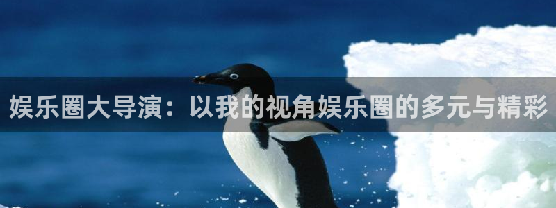 星辉平台苹果手机下载链接：娱乐圈大导演：以我的视角娱乐圈的多元与精彩