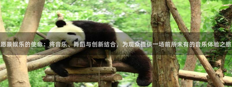 星辉平台f平台注册：愿景娱乐的使命：将音乐、舞蹈与创新结合，为观众提供一场前所未