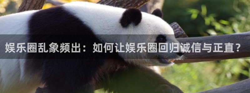东莞市星辉平台电子科技有限公司：娱乐圈乱象频出：如何让娱乐圈回归诚信与正直？