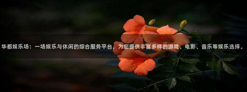 星辉平台平台注册：华都娱乐场：一场娱乐与休闲的综合服务平台，为您提供丰富多样的游