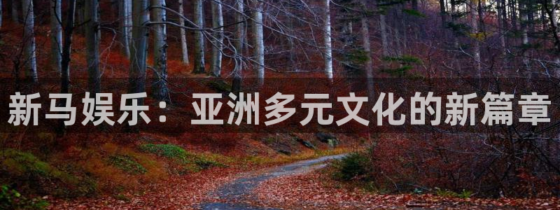 南宫星辉平台官网版：新马娱乐：亚洲多元文化的新篇章
