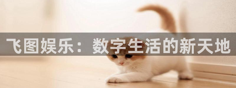 星辉平台4开户