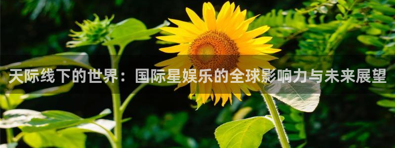 星辉平台体育老板是谁：天际线下的世界：国际星娱乐的全球影响力与未来展望