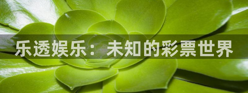 星辉平台pg电子游戏在线玩：乐透娱乐：未知的彩票世界