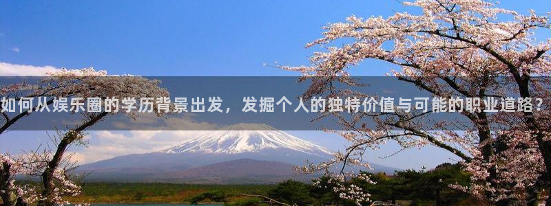 星辉平台游app：如何从娱乐圈的学历背景出发，发掘个人的独特价值与可能的职业道路