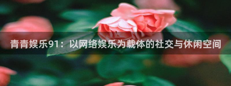 星辉平台ccmpc麻将胡了：青青娱乐91：以网络娱乐为载体的社交与休闲空间