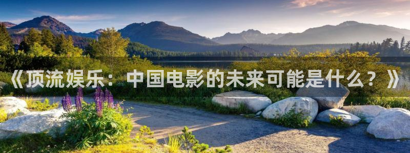 星辉平台体育平台总代理：《顶流娱乐：中国电影的未来可能是什么？》