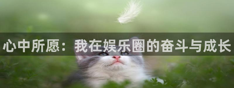 星辉平台平台注册：心中所愿：我在娱乐圈的奋斗与成长
