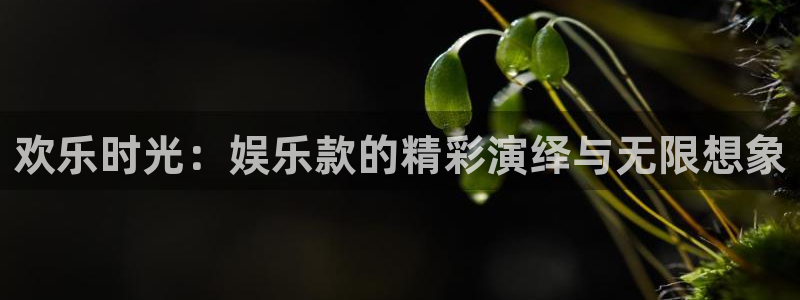 星辉平台2注册：欢乐时光：娱乐款的精彩演绎与无限想象