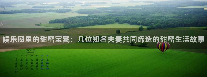星辉平台3：娱乐圈里的甜蜜宝藏：几位知名夫妻共同缔造的甜蜜生活故事