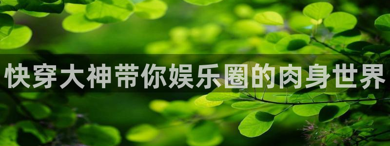 星辉平台主管：快穿大神带你娱乐圈的肉身世界