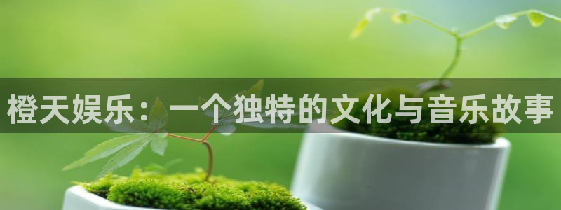 www.星辉平台体育.com：橙天娱乐：一个独特的文化与音乐故事