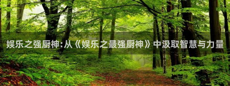 星辉平台5：娱乐之强厨神:从《娱乐之最强厨神》中汲取智慧与力量