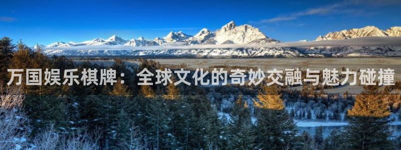 星辉平台2代理注册：万国娱乐棋牌：全球文化的奇妙交融与魅力碰撞