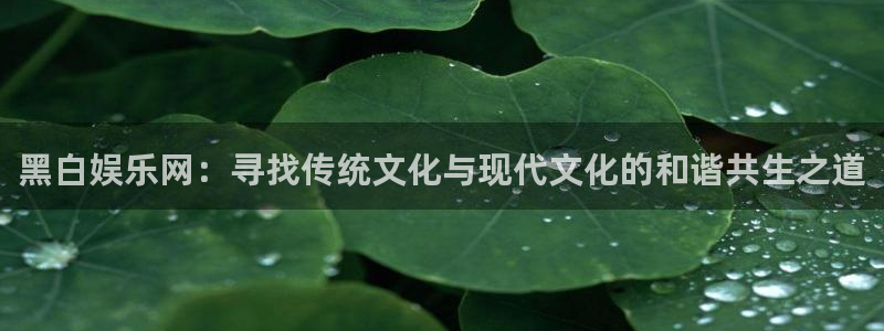 星辉平台f平台注册：黑白娱乐网：寻找传统文化与现代文化的和谐共生之道